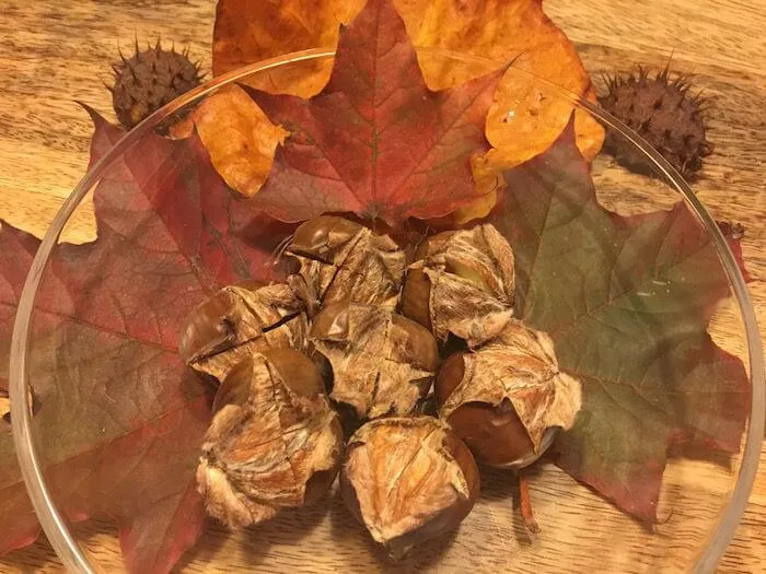 Frisch gebratene Maroni aus dem Ofen – ein Genuss für kalte Tage