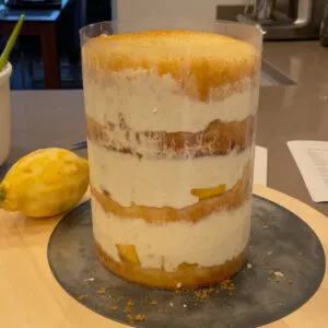 Frisch geschnittene Mangoscheiben werden sorgfältig auf dem ersten Vanille-Tortenboden in der Springform verteilt, bereit für die Quark-Sahne-Füllung.