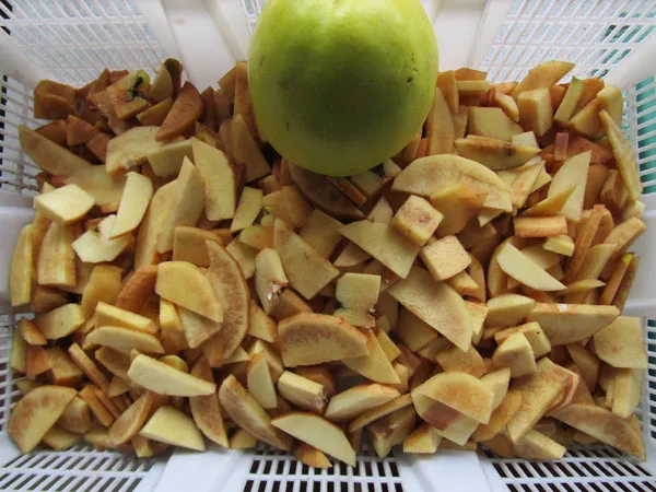 Frisch geschnittene Quittenscheiben im Korb, vorbereitet für das Tiefkühlen, um die Saftausbeute für unseren Quittensaft zu optimieren.