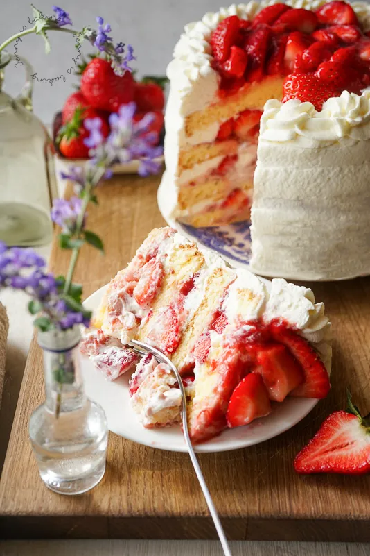 Frische finnische Erdbeertorte mit Biskuitboden