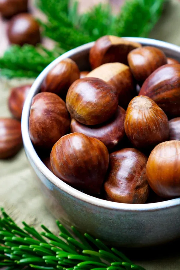 Frische Maronen mit Schale bereit zur Zubereitung einer herzhaften Suppe