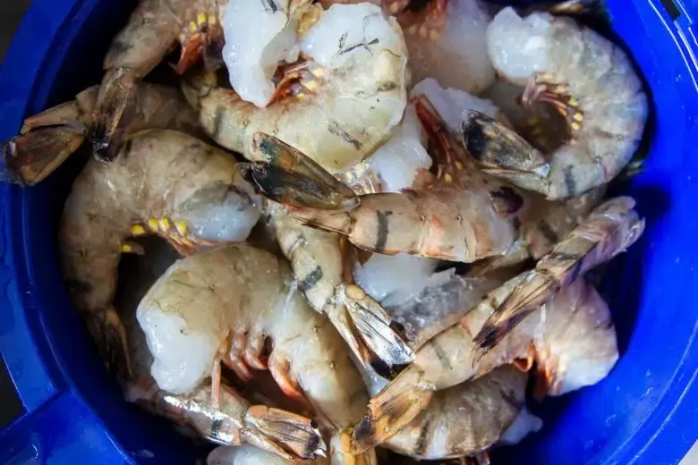Frische rohe Garnelen, aufgereiht auf einem Teller, bereit zum Braten.