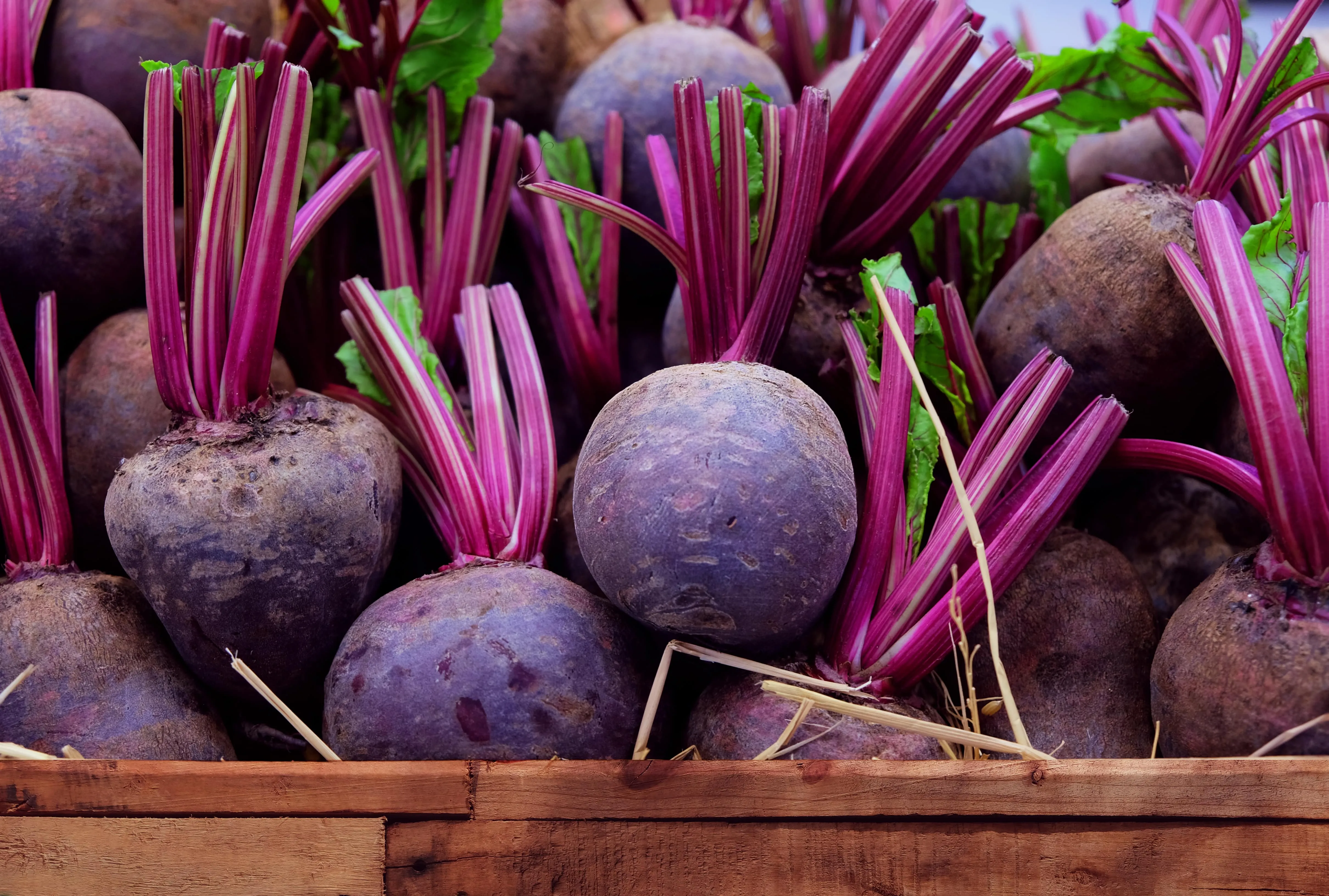 Frische Rote Bete Wurzeln als Basis für gesunden Rote Bete Saft und traditionelle deutsche Gerichte