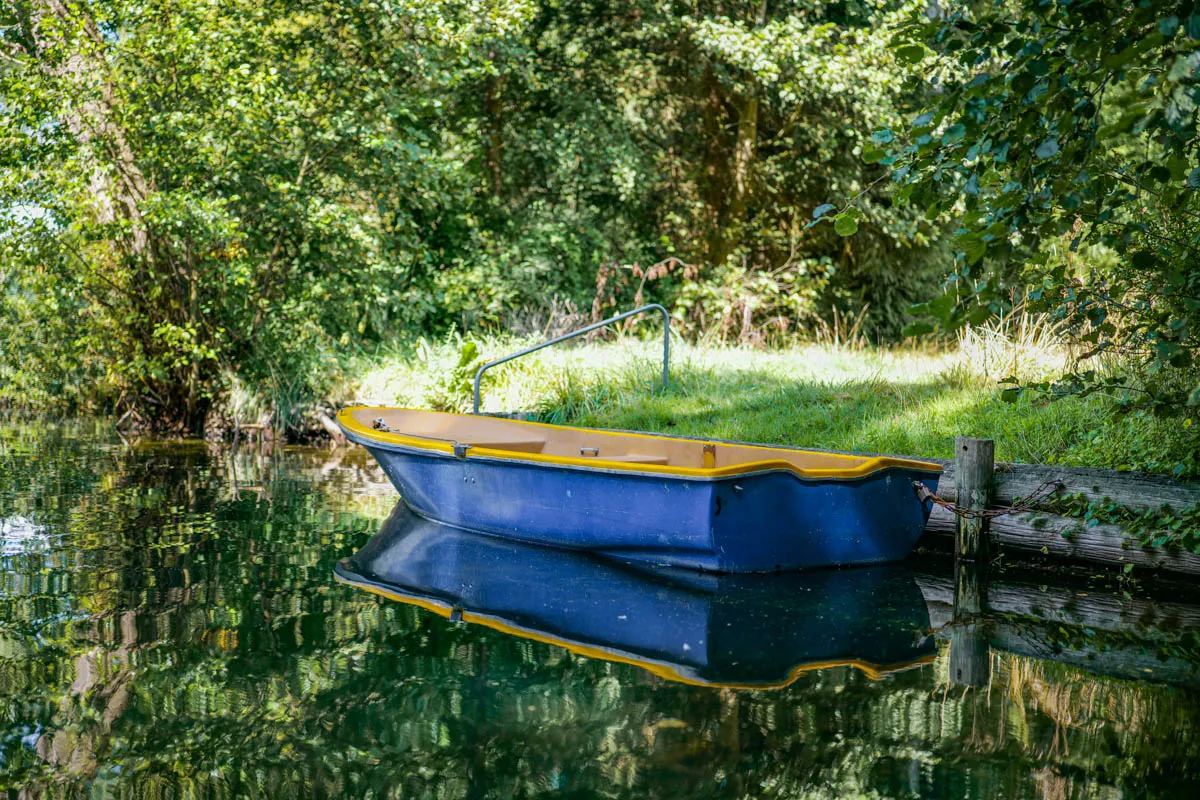Frische Speisen wie Pesto Pasta in der Salem Seebar am Salemer See