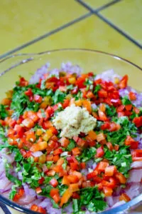 Frische Zutaten für ein selbstgemachtes Ceviche: Fisch, Limetten, Zwiebel, Paprika, Koriander, Ingwer