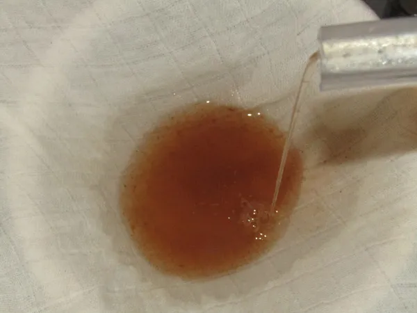 Frischer Quittensaft fließt aus der Saftpresse durch den Filter