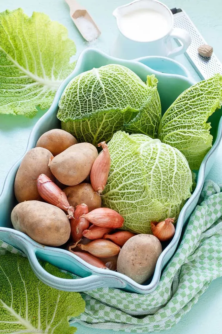 Frischer Wirsingkohl bereit zur Verarbeitung