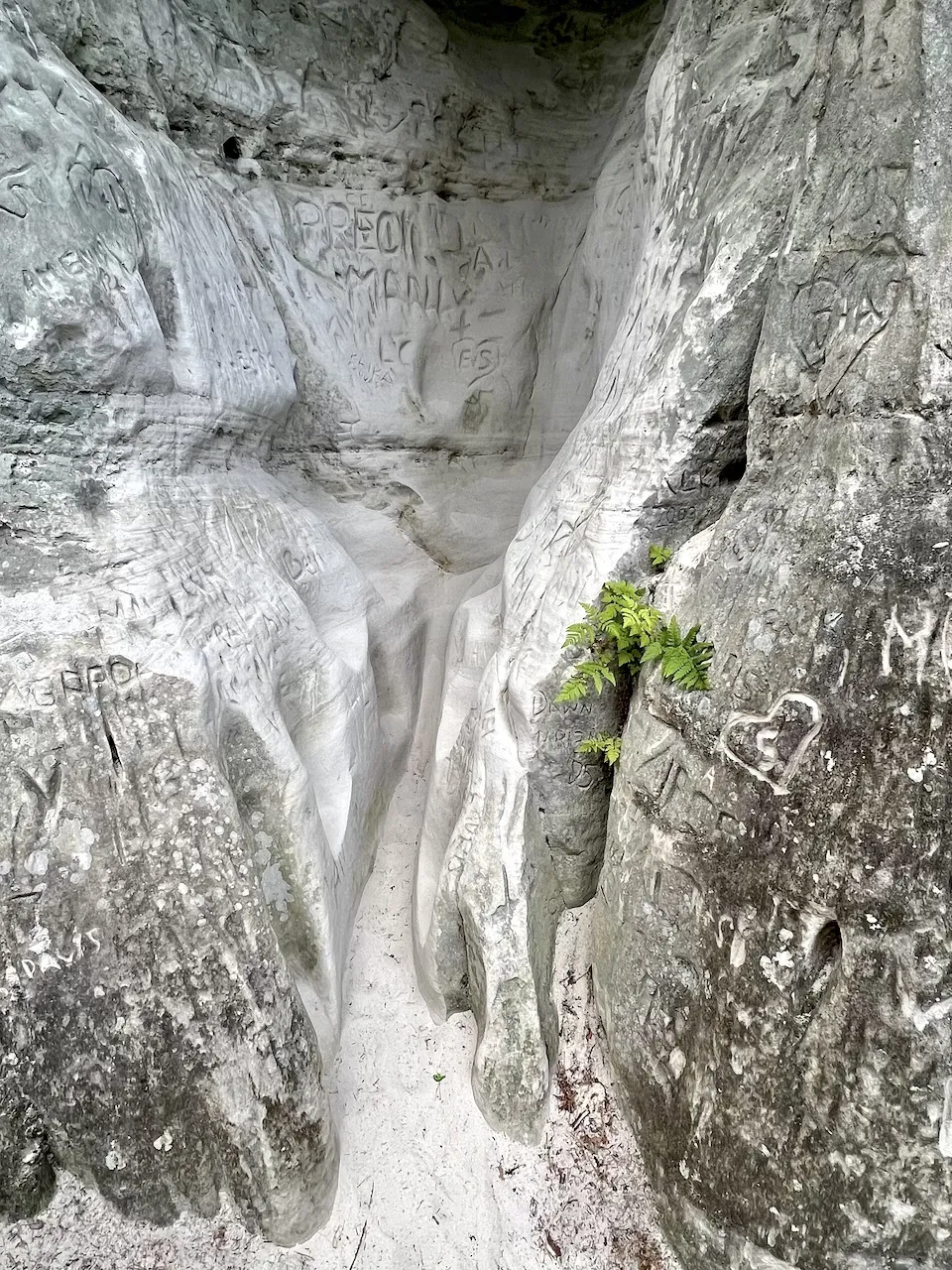 Gaujas Nationalpark Sandsteinfelsen