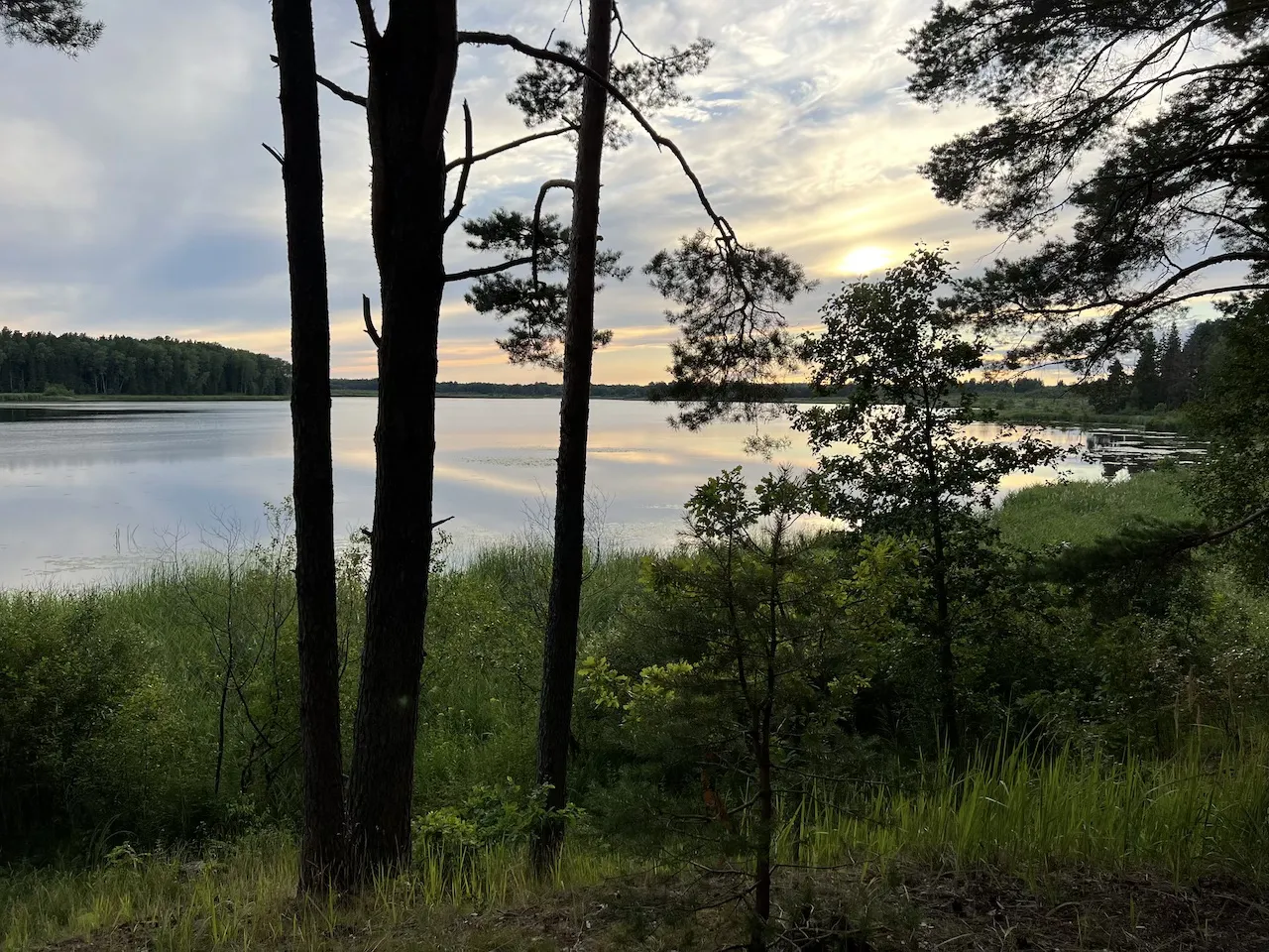 Gaujas Nationalpark Sonnenuntergang