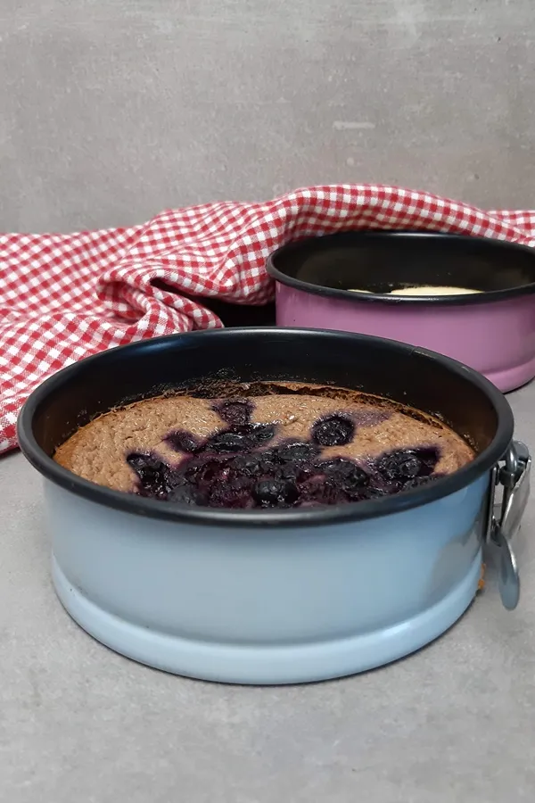 Geburtstagskuchen-Alternative: Saftiger Skyr Kuchen nach Weight Watchers Prinzipien, ganz ohne Punkte.