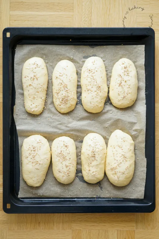 Geformte Hot Dog Brötchen auf dem Backblech vor dem Backen