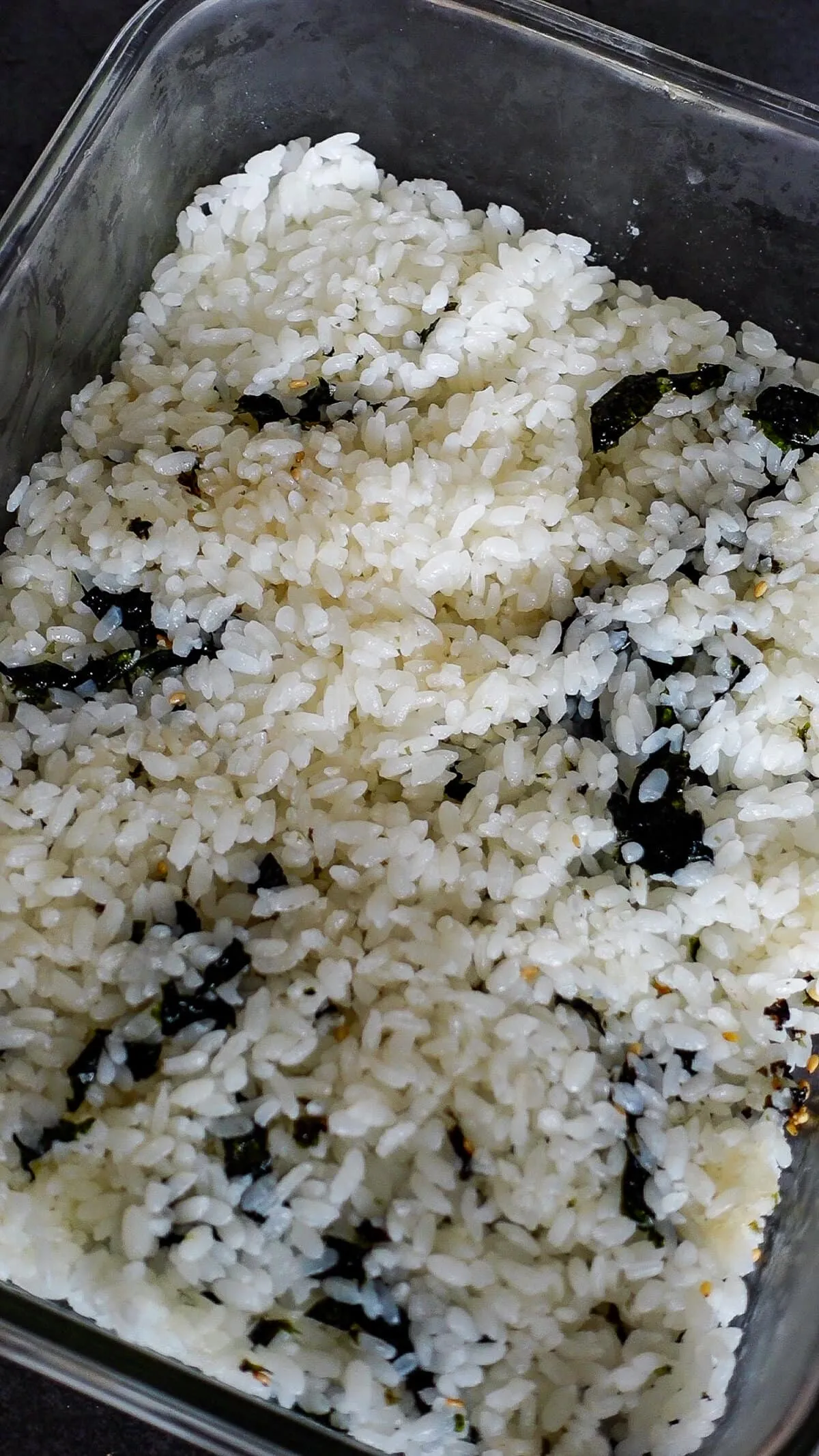 Gekochter Sushi-Reis wird als gleichmäßige Basisschicht in einer Auflaufform verteilt