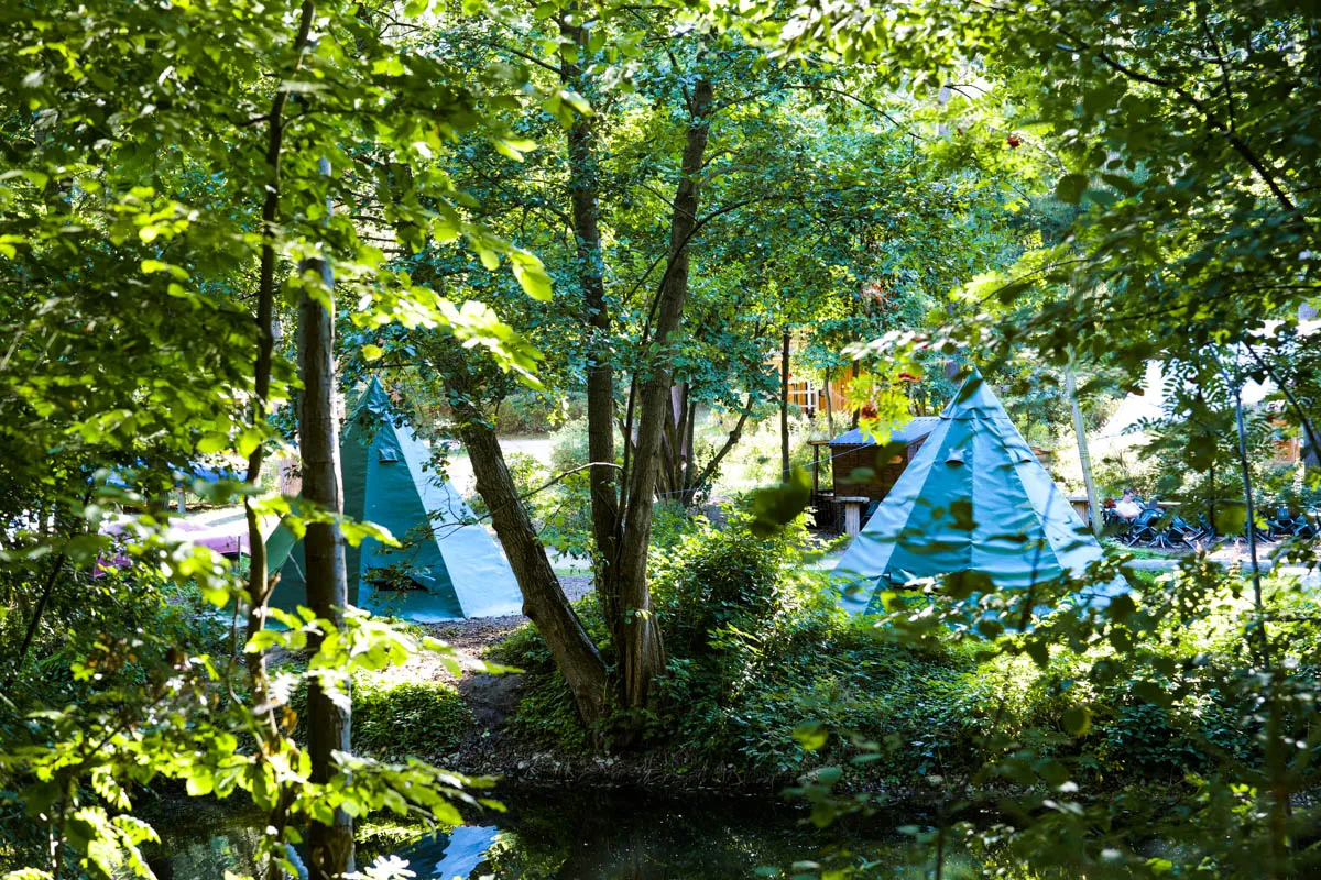 Gemütlicher Grillplatz und überdachte Sitzgelegenheiten im Schaalsee-Camp