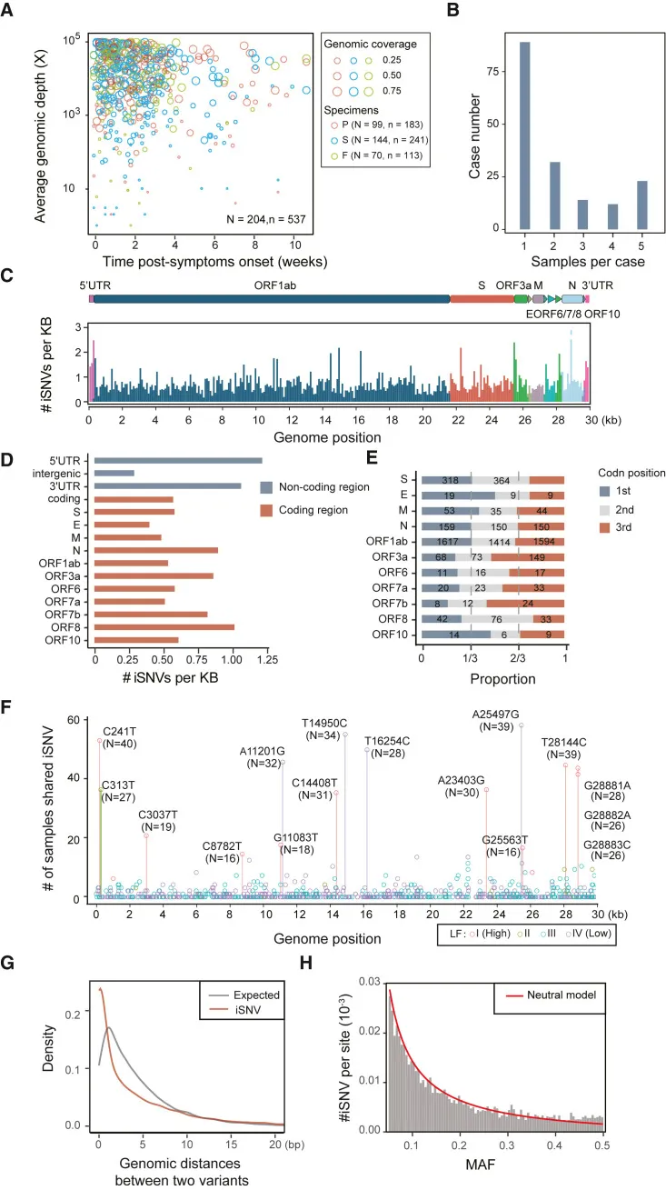 Genomsequenzierung und iSNV-Loci