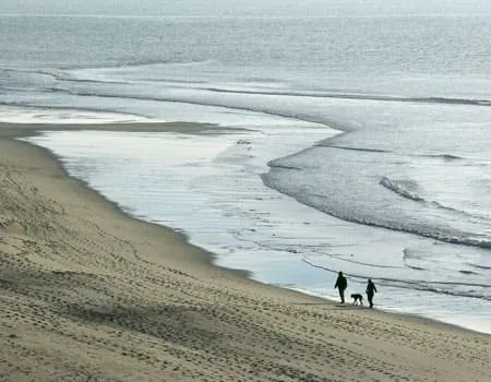 Glückliches Paar mit goldenem Retriever am Sandstrand von Westerland auf Sylt, ein beliebter Hundestrand in Norddeutschland