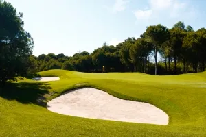 Golfplatz auf Föhr, umgeben von grüner Inselvegetation und Blick auf die Nordsee