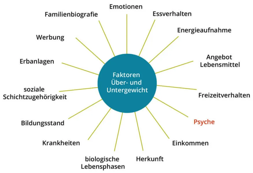 Grafik: Einflussfaktoren auf das Körpergewicht für nachhaltiges Abnehmen
