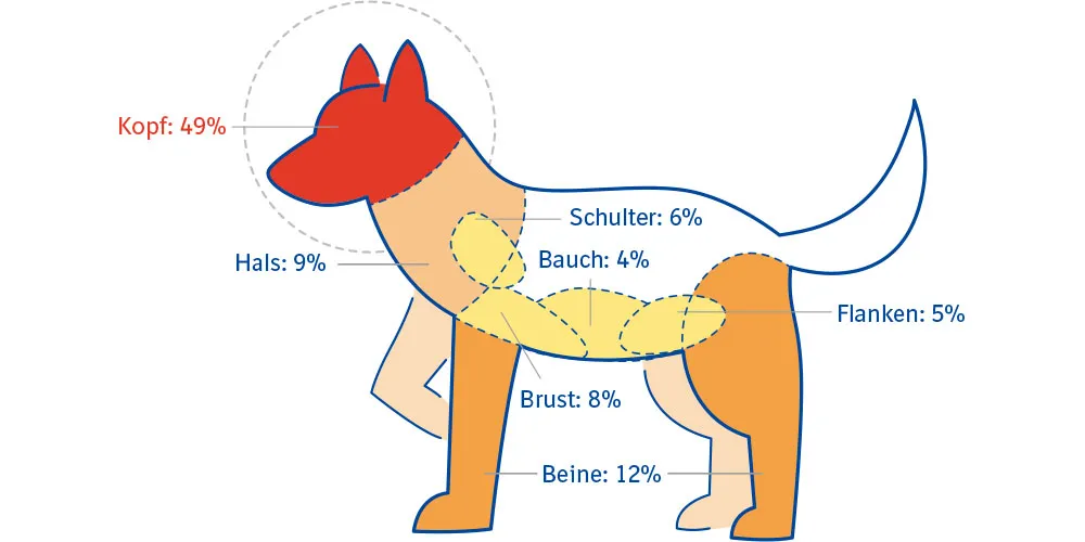 Grafik: Wo Zecken beim Hund zustechen