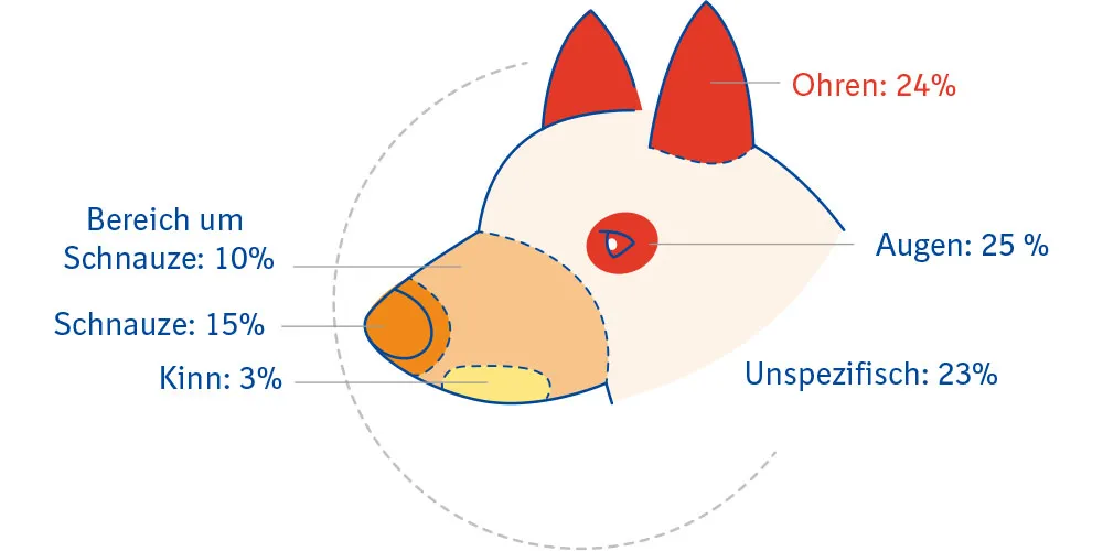 Grafik: Zeckenbiss beim Hund häufig am Kopf