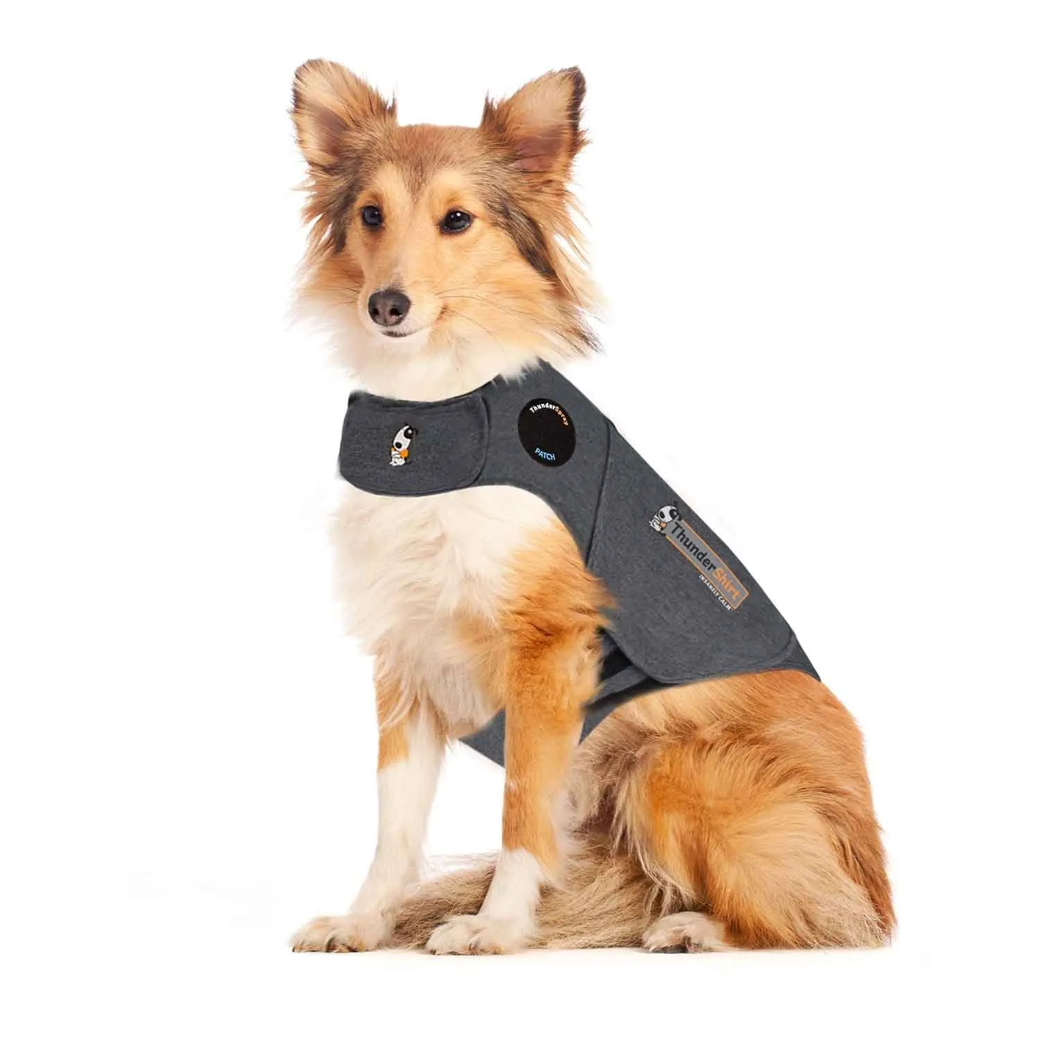Graues Thundershirt für Hunde in voller Ansicht
