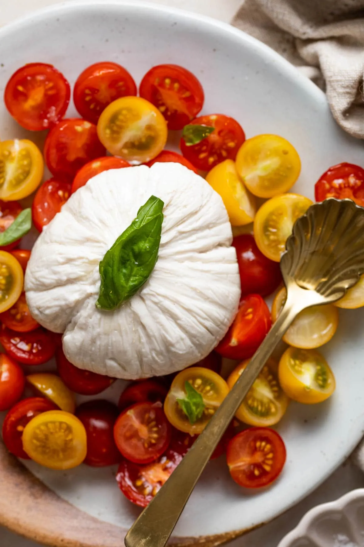 Große Kugel vegane Burrata, präsentiert auf Kirschtomaten, ideal für eine Caprese-Variation