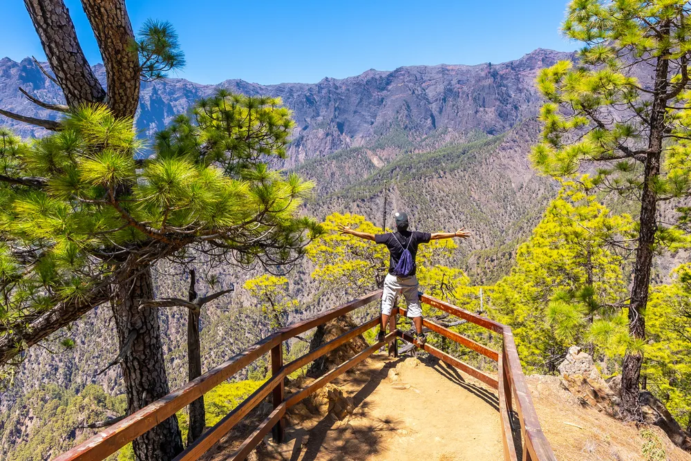 Grüne Berglandschaft mit Wanderweg auf La Palma, ein Paradies für Naturliebhaber auf dieser spanischen Insel