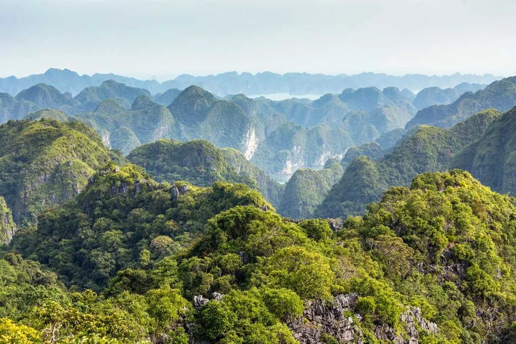 Grüne Insel Cat Ba mit ihren zerklüfteten Felsen, ein Naturparadies im Norden Vietnams