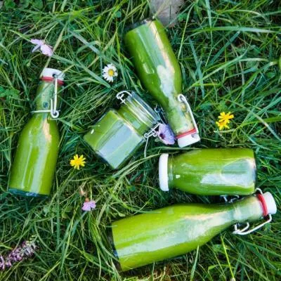 Grüner Kohlsaft aus Palmkohl oder Grünkohl, Spinat, Sellerie, Zitorne