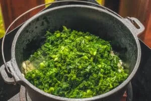 Grünkohl dünsten mit Zwiebeln und Knoblauch