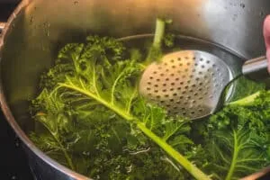 Grünkohl wird in Salzwasser blanchiert, erster Schritt der Zubereitung