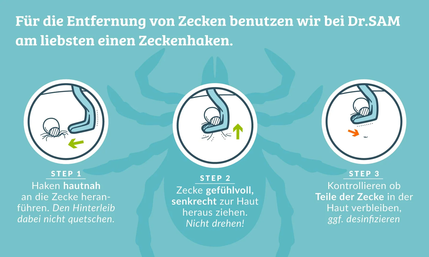 Hand benutzt eine spezielle Zeckenzange, um eine Zecke sicher aus dem Fell einer Katze zu entfernen.