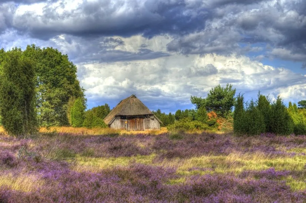 Haus in der Lüneburger Heide in Norddeutschland