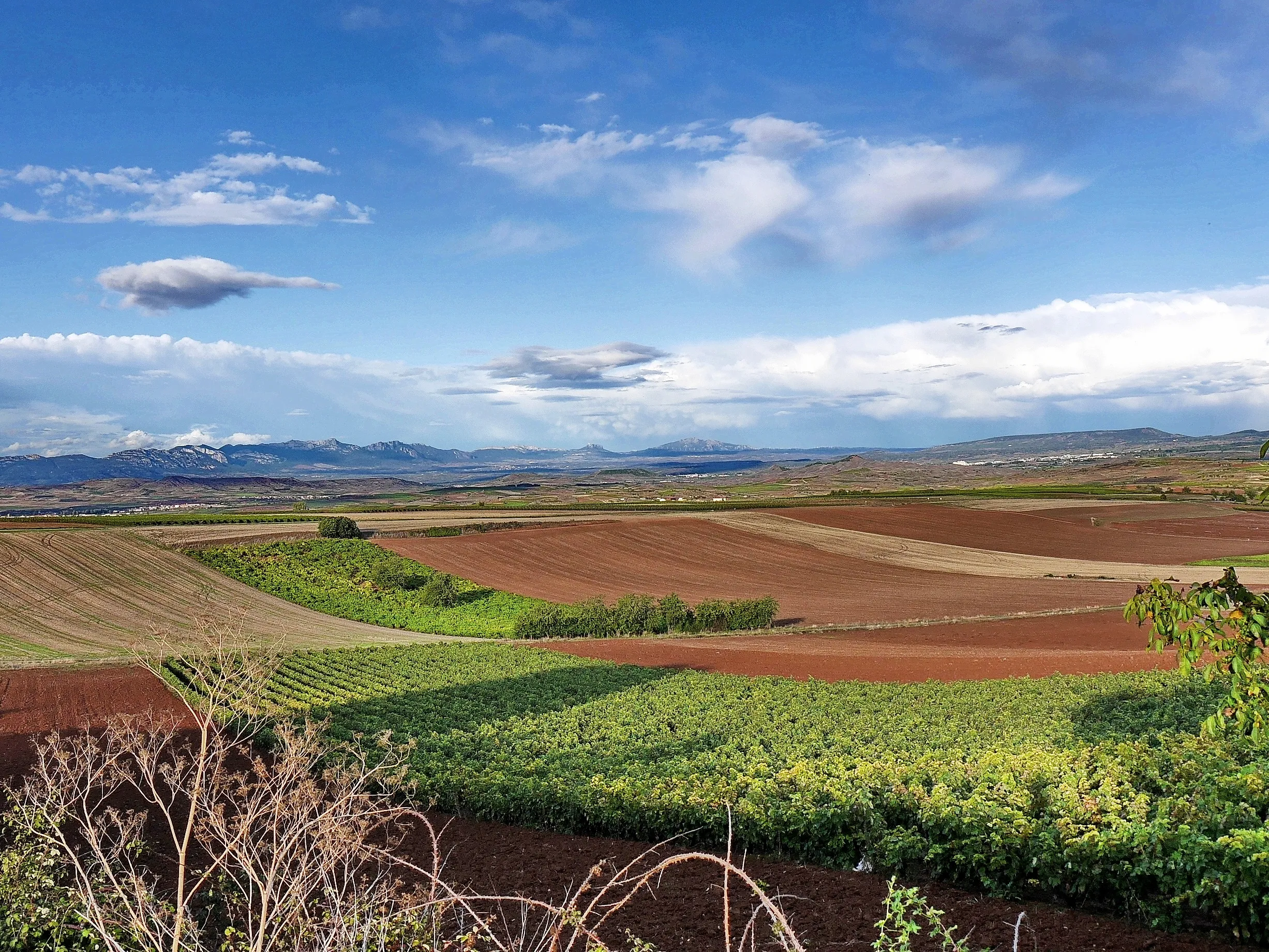 Herbstliche Landschaft der Rioja bei San Millán de la Cogolla