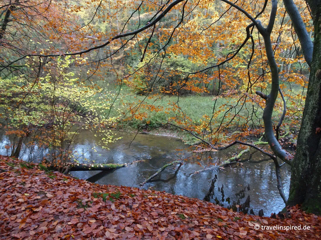 Herbstliches Laub am Ufer der Bille im Sachsenwald, ein bezaubernder Ort für Wanderungen und Natur-Unternehmungen in der Region Aumühle.