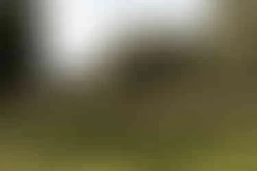 Hof Weihe Hochzeitsfeier