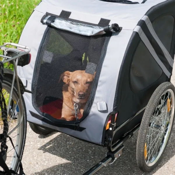 Hundeanhänger für Fahrräder auf Langeoog am Strand, ideal für Ausflüge mit Hund in Deutschland