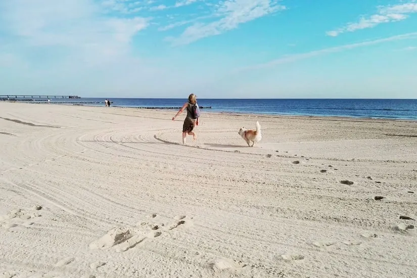 Hundestrand auf Usedom