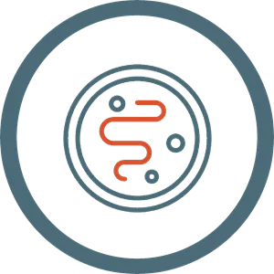 Icon für konditional reprogrammierte (CR) Zelllinien zur besseren Krebsforschung