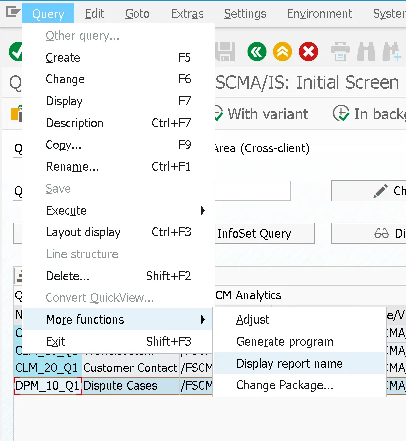 Identifikation des Query-Programmnamens