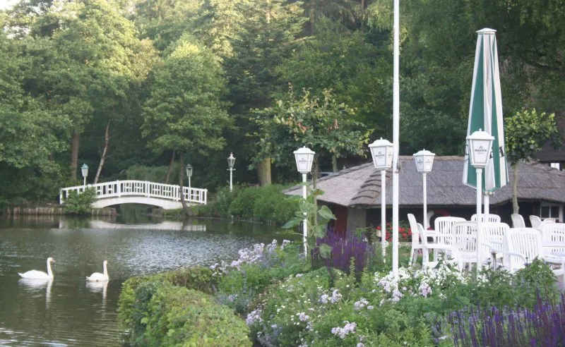 Idyllische Brücke am Schwanenteich des Forsthaus Seebergen mit elegantem Schwan im Vordergrund