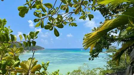Idyllische Bucht Sainte Anne auf den Seychellen im Indischen Ozean, mit feinem Sandstrand, klarem türkisfarbenem Wasser und tropischen Bäumen.