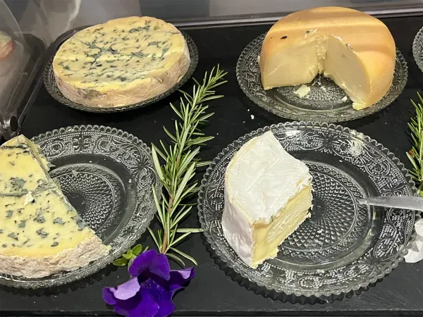 Idyllische Olivenhaine in der Provence, Besuch einer traditionellen Ölmühle