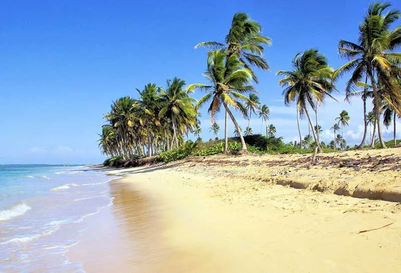 Idyllischer Bavaro Beach in der Karibik mit weißem Sand, Palmen und türkisfarbenem Meer