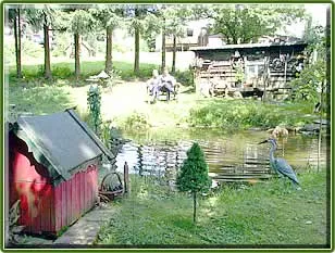 Idyllischer Park des Hotels im Harz mit üppigem Grün und Sitzgelegenheiten