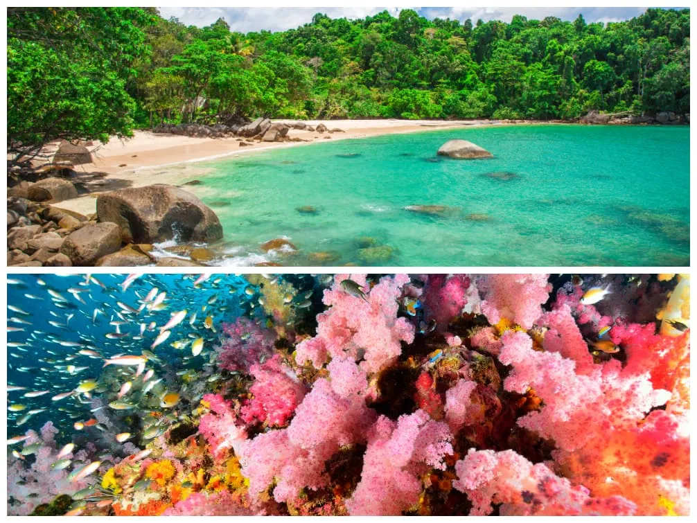 Idyllischer Strand in Lam Ru und farbenprächtiges Korallenriff vor Khao Lak, Thailand