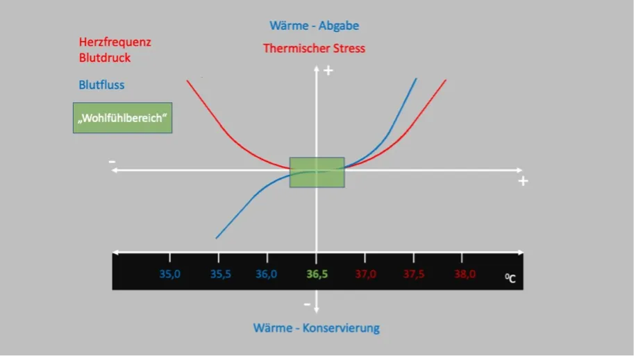 Illustration des Zusammenhangs von Wärmeabgabe und thermischem Stress bei Magnesiumeinnahme.