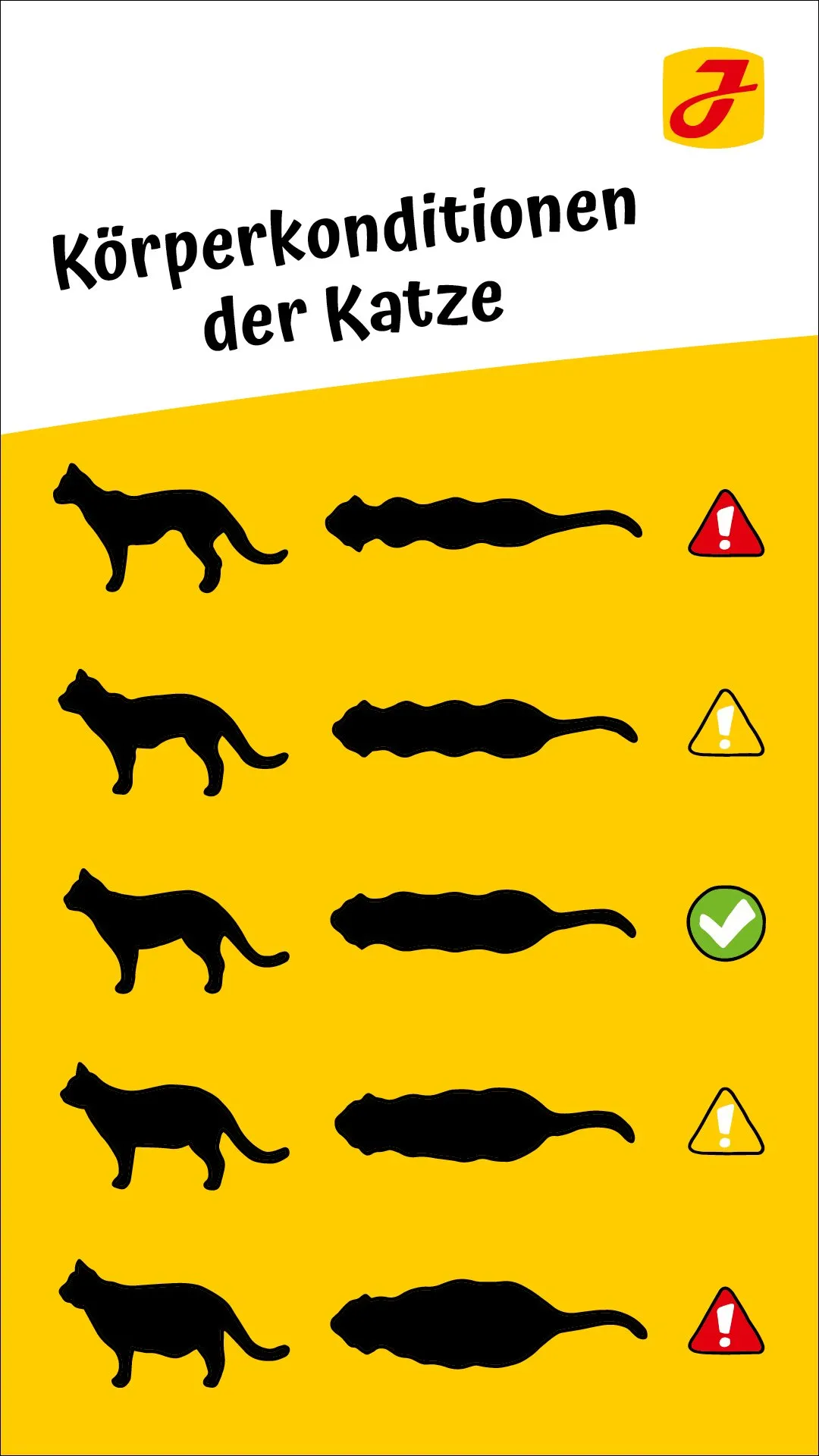 Infografik: Fünf häufige Gründe, warum eine Katze zu dünn ist und Gewicht verliert