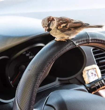 Jacky begleitet seine Familie auf Ausflügen.