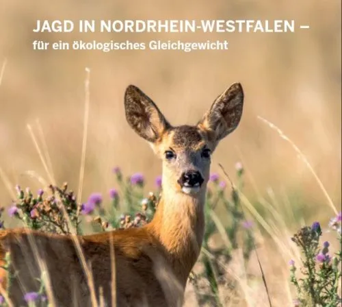Jagd in Nordrhein-Westfalen - für ein ökologisches Gleichgewicht