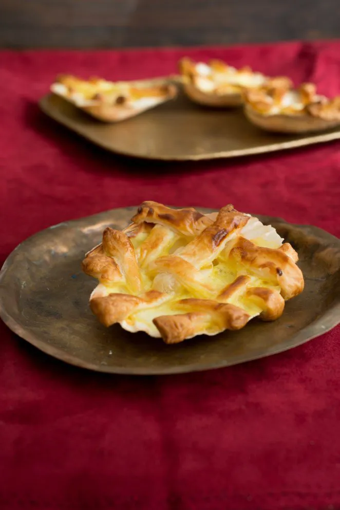 Jakobsmuschel In Schalen